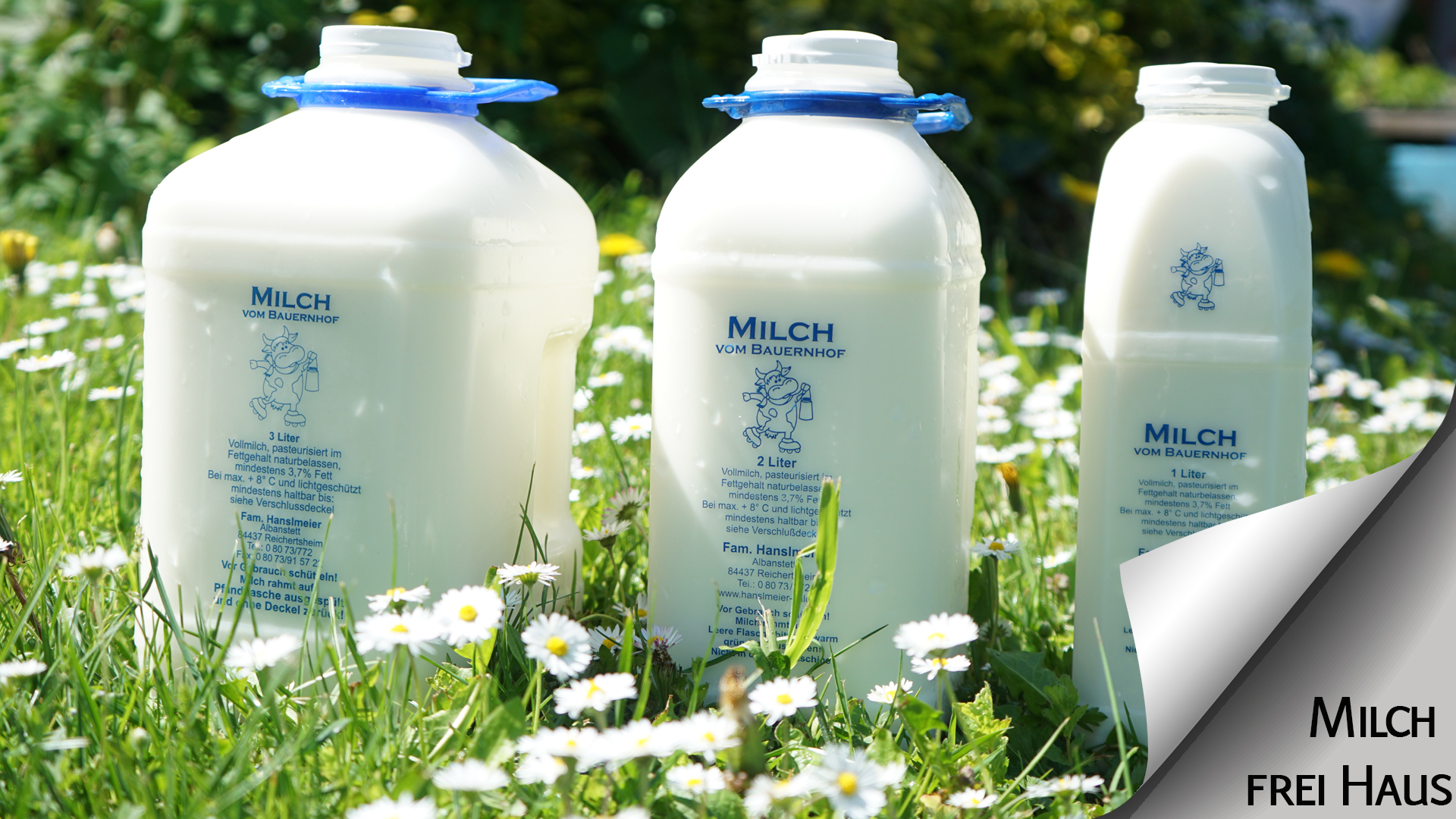 Milch in verschiedenen Verpackungsgrößen